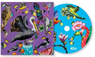 Raimonds Pauls, Guntars Račs, Dzeguzīte un draugi izdod albumu “Putnu dziesmas”